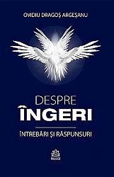 Despre îngeri  - întrebări şi răspunsuri 