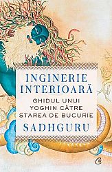 Inginerie interioară  - ghidul unui yoghin către starea de bucurie 