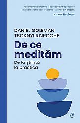 De ce medităm  - de la ştiinţă la practică 