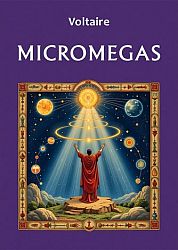 Micromegas 