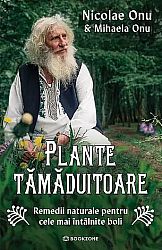 Plante tămăduitoare - remedii naturale pentru cele mai întâlnite boli