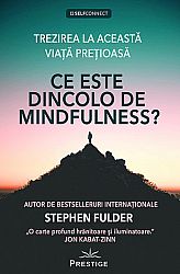 Ce este dincolo de mindfulness?  - trezirea la această viată preţioasă 