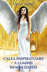 Calea inspiratoare a luminii dumnezeieşti  - istoria civilizaţiei în lumina spiritismului 
