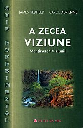 A zecea viziune - ghid practic  - menţinerea viziunii 