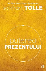 Puterea prezentului  - ghid de dezvoltare spirituală 
