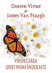 Vindecarea unei inimi îndoliate 