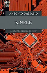 Sinele  - construirea creierului conştient 