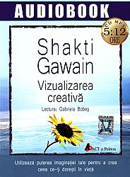 Vizualizarea creativă - CD  - utilizează puterea imaginatiei tale pentru a crea ceea ce-ti doresti în viată - MP3 cu durata de 5:12 ore 