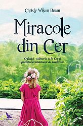 Miracole din Cer  - o fetiţă, călătoria ei la Cer şi povestea ei uimitoare de vindecare 