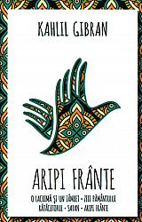 Aripi frânte 
