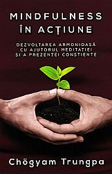 Mindfulness în acţiune  - dezvoltarea armonioasă cu ajutorul meditaţiei şi a prezenţei conştiente 