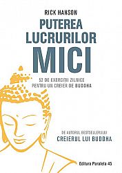Puterea lucrurilor mici  - 52 de exerciţii zilnice pentru un creier de Buddha 