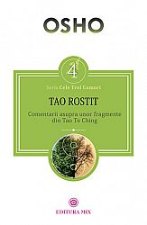 Tao rostit  - comentarii asupra unor fragmente din Tao Te Ching 