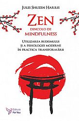 Zen dincolo de mindfulness  - utilizarea budismului şi a psihologiei moderne în practica transformării 