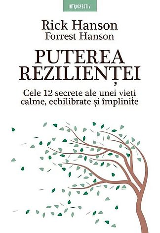 Puterea rezilienţei  - cele 12 secrete ale unei vieţi calme, echilibrate şi împlinite 