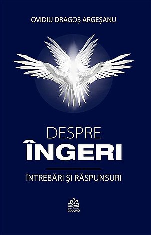 Despre îngeri  - întrebări şi răspunsuri 