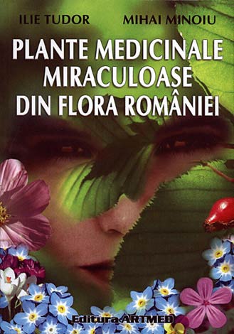 Plante medicinale miraculoase din flora României 