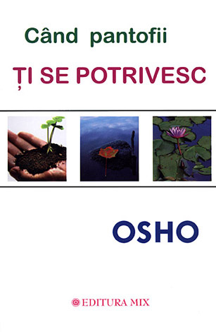 Când pantofii ţi se potrivesc  - despre povestirile misticului taoist Chuang Tzu 