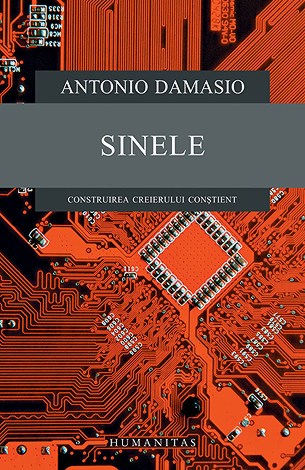 Sinele  - construirea creierului conştient 