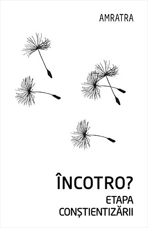 Încotro?  - etapa conştientizării 
