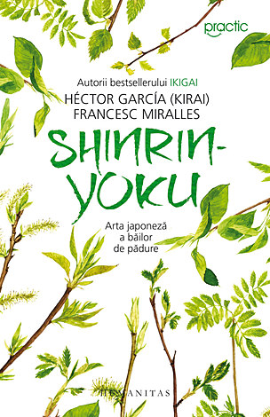 Shinrin-Yoku  - arta japoneză a băilor de pădure 